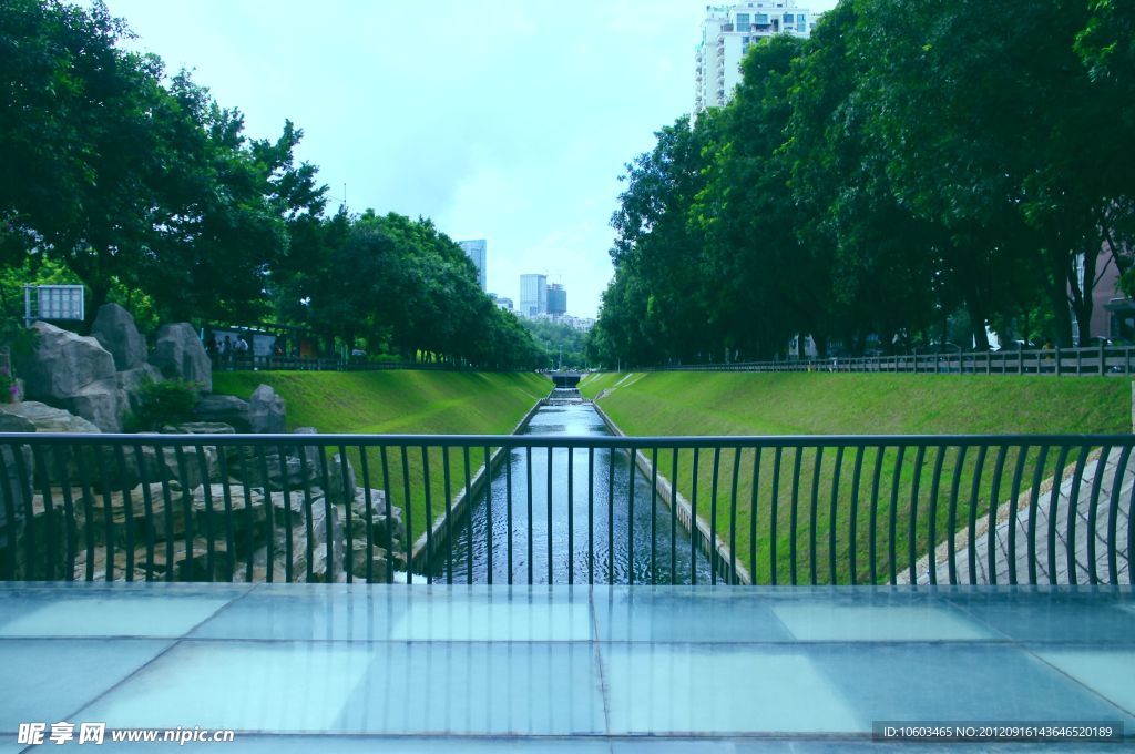 城市生态 渠沟 深圳景田