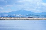 大海景观 深圳蛇口