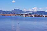 大海景观 深圳蛇口