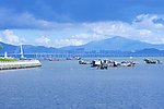 大海景观 深圳蛇口