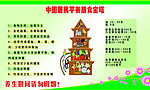 中国膻食展板