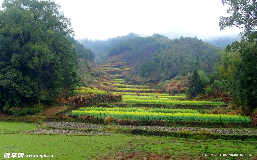 乡间田野