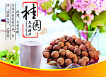 桂圆形象海报