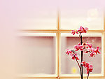 窗景