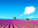 花海