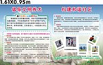 文明养狗