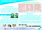 腰椎间盘突出症横版宣传单广告