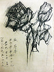 手绘玫瑰