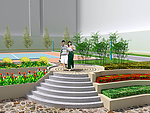 阳光 花池