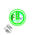 普洱茶