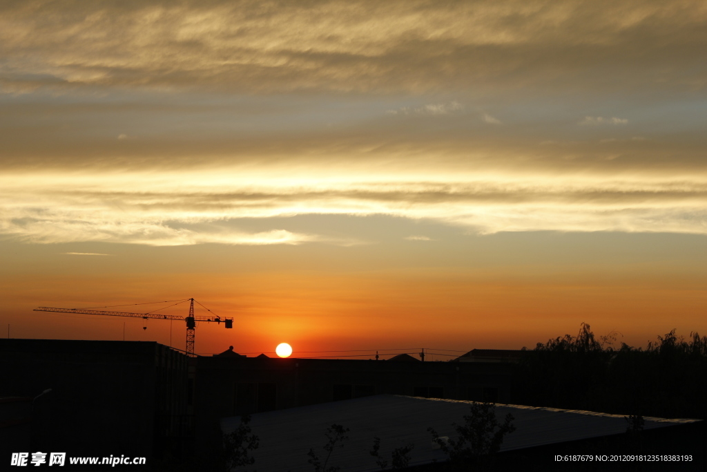 夕阳红