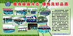 学习军人作风