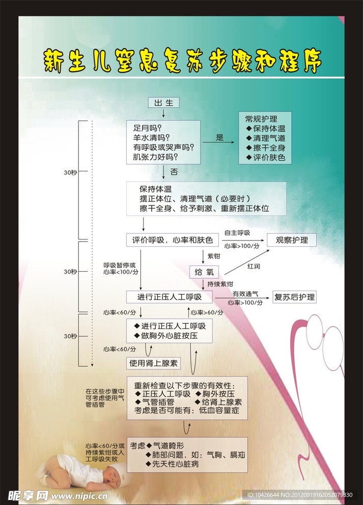 新生儿窒息复苏步骤和程序