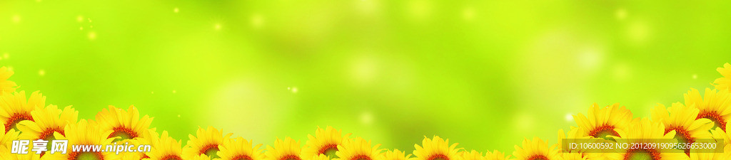 向日葵 花海
