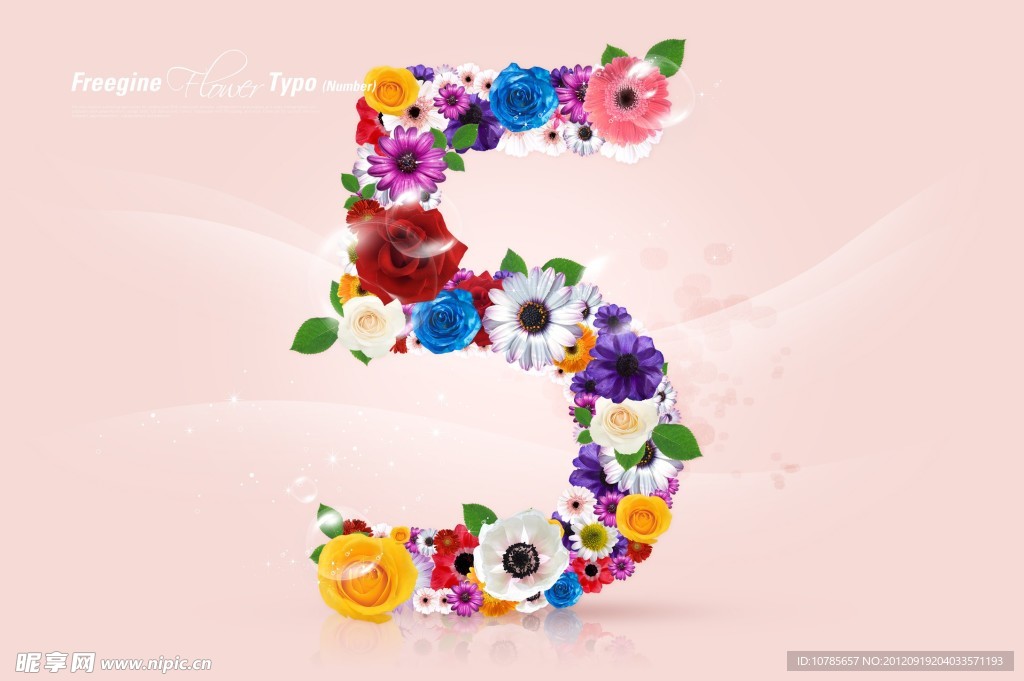 数字花5