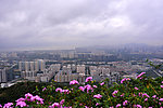深圳城市风景