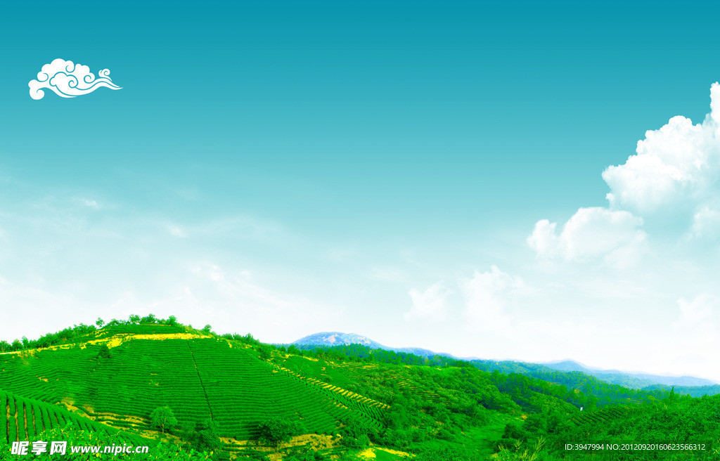 茶山 茶园绿色生态风景