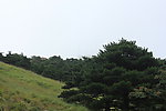 黄山