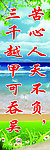 班级文化建设