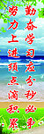 班级文化建设