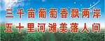 葡萄