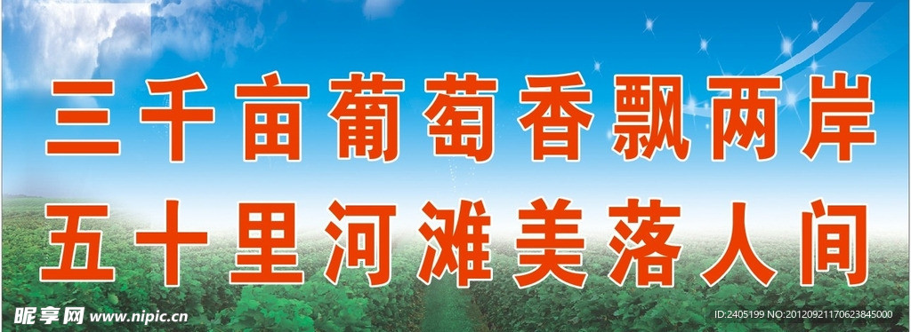 葡萄