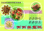 天天美食城