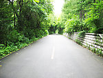 林荫小路