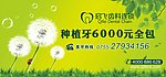 绿色背景 种植牙