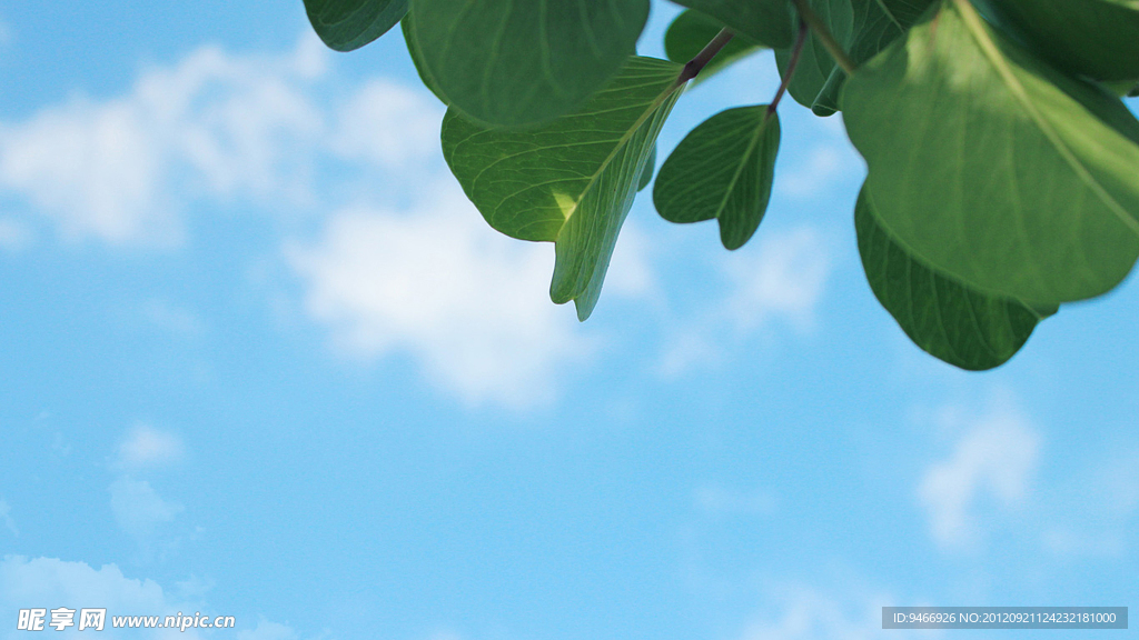 天空