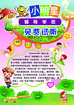 小明星彩页