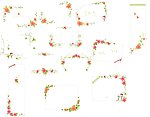 几种形式的花纹