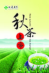 秋茶上市