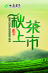 茶叶海报 秋茶上市