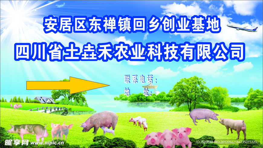 养猪