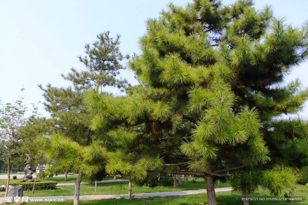 公园风景