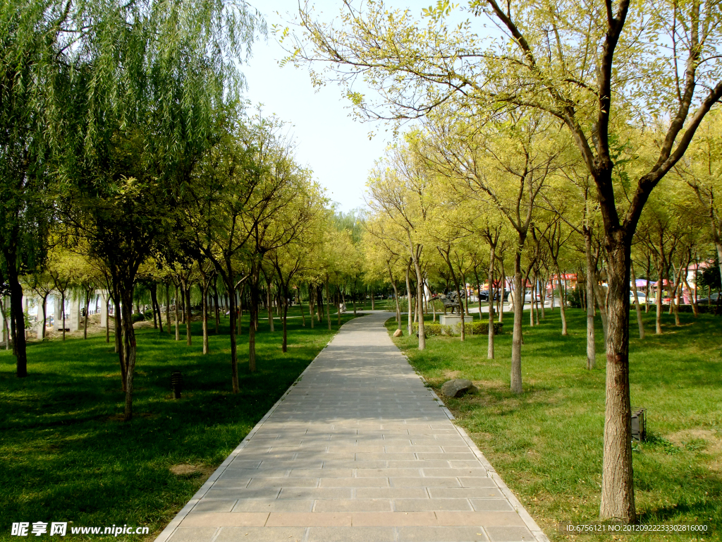 公园小路