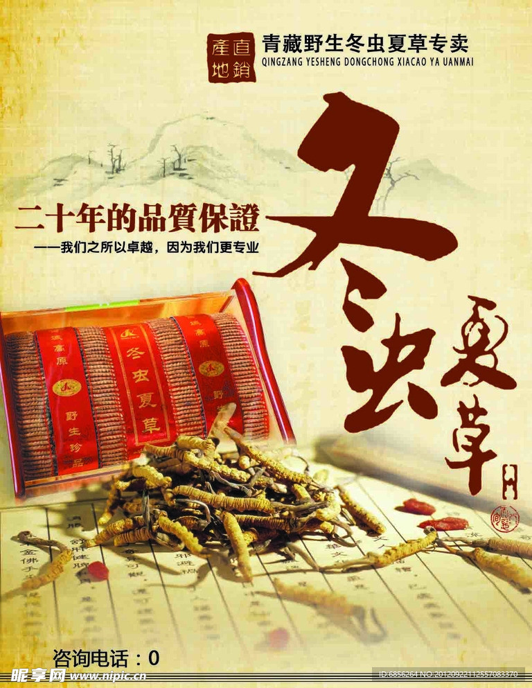 冬虫夏草