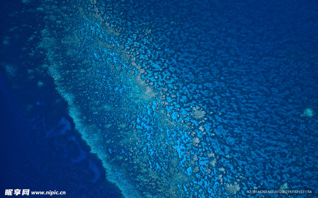 海洋