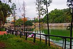 人工湖 深圳横岗社区