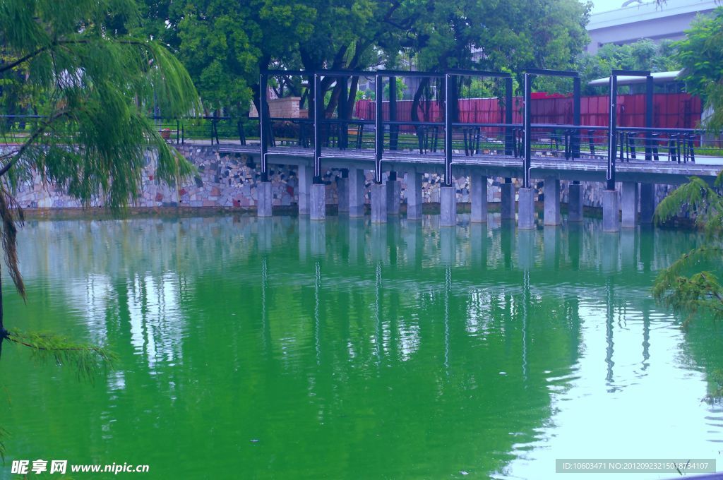 人工湖 深圳横岗社区