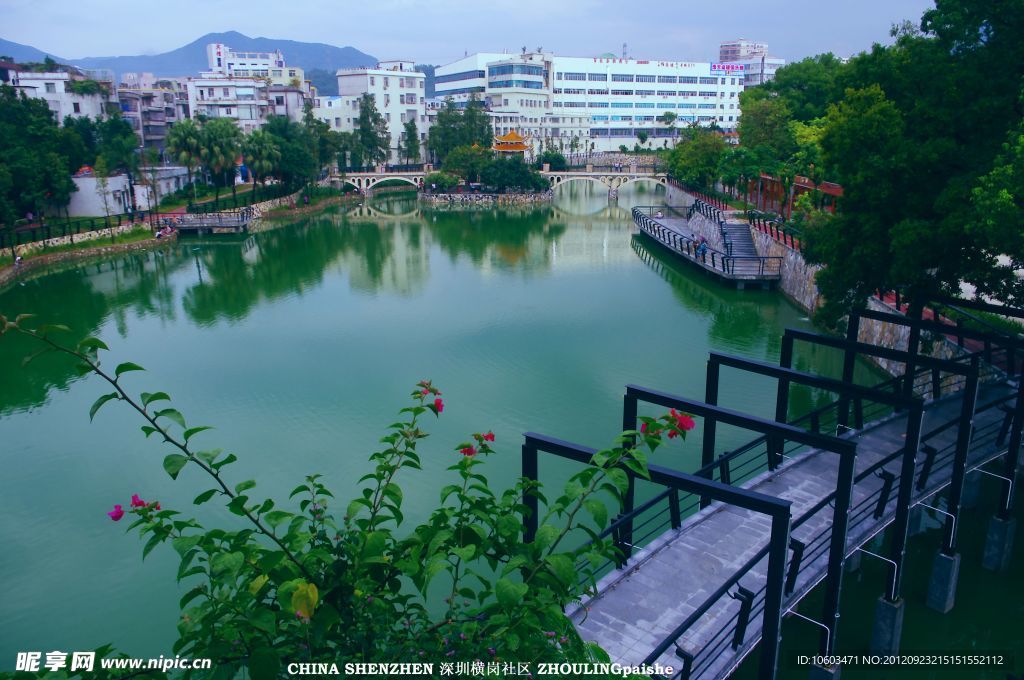 人工湖 深圳横岗社区