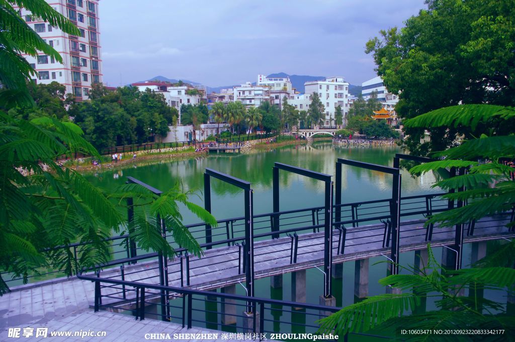 人工湖 深圳横岗社区