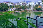 人工湖 深圳横岗社区