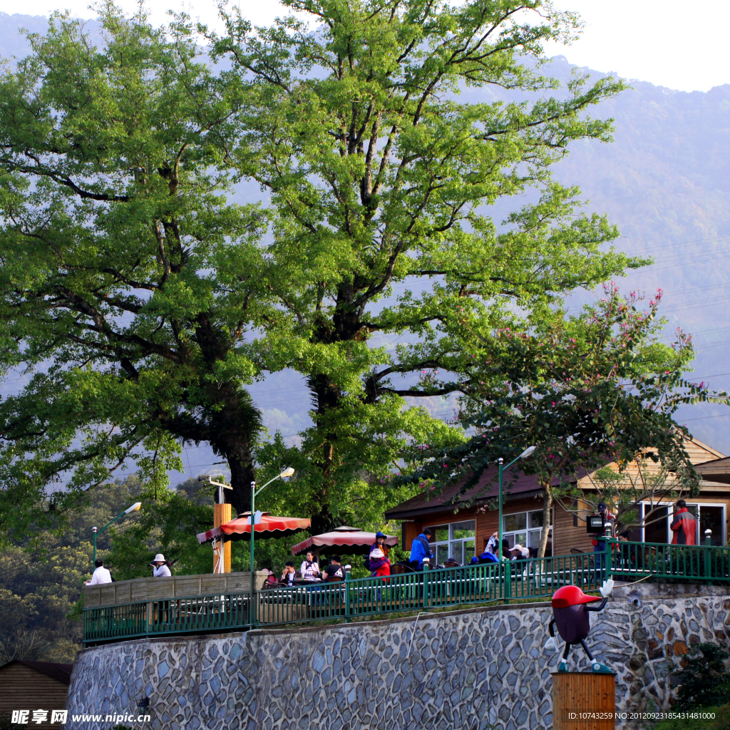 度假村