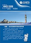 卡西米广告