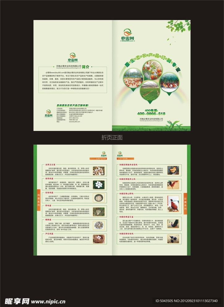 绿色农产品单页