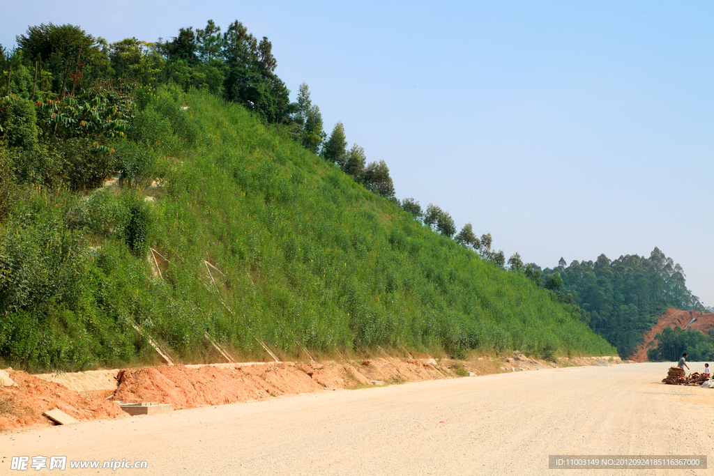 高速公路绿化