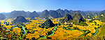 巴马风景