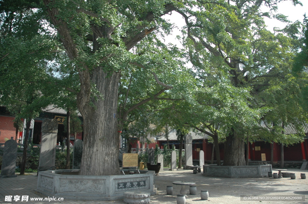 法王寺